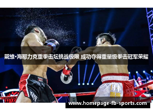 戴维·海耶力克重拳击坛挑战极限 成功夺得重量级拳击冠军荣耀